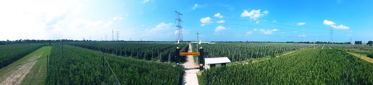 1684148804224784.jpg 优德隆全景图4.jpg